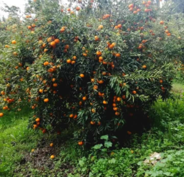 Dar Khedija Guest House El Kheriba Екстериор снимка