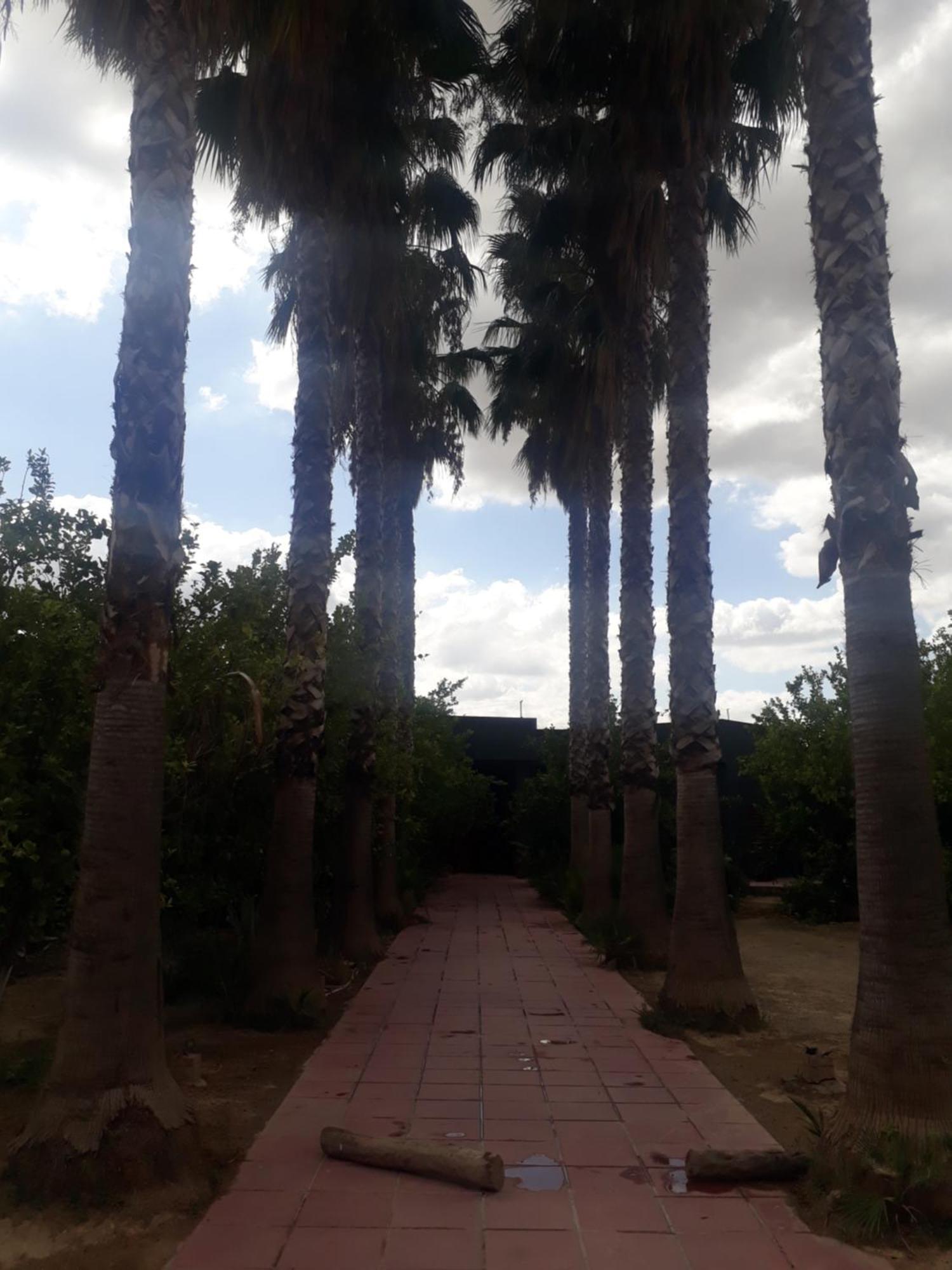 Dar Khedija Guest House El Kheriba Екстериор снимка